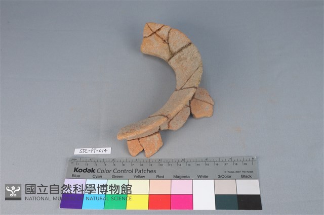 陶罐藏品圖，第3張