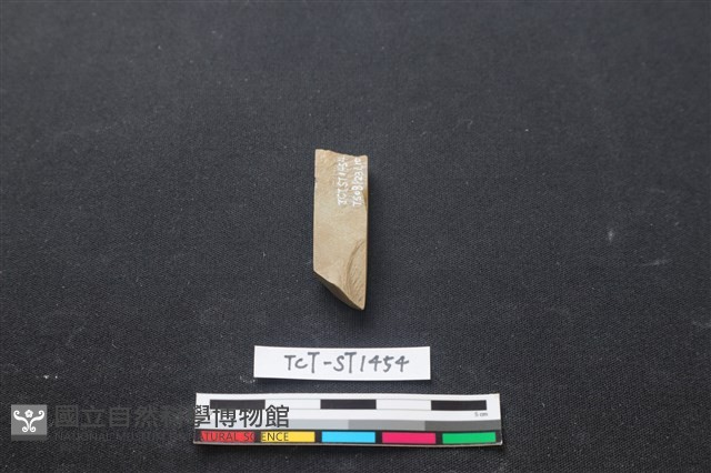 錛鑿形器藏品圖，第3張