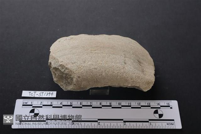 砍砸器藏品圖，第3張