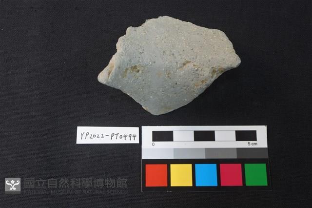 陶片藏品圖，第3張