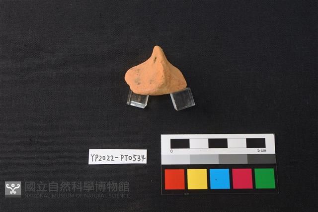 陶片藏品圖，第3張