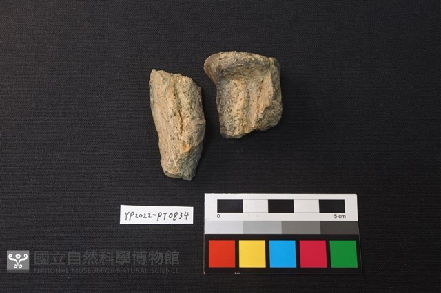 陶鈕藏品圖，第3張