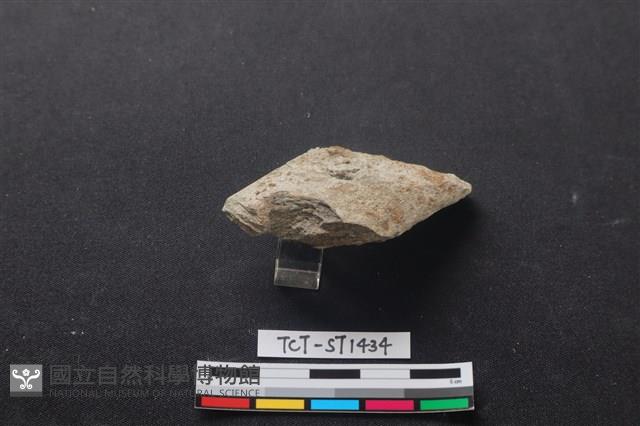 Accession Number:TCT-ST1434 Collection Image, Figure 3, Total 3 Figures