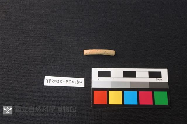 陶環藏品圖，第3張