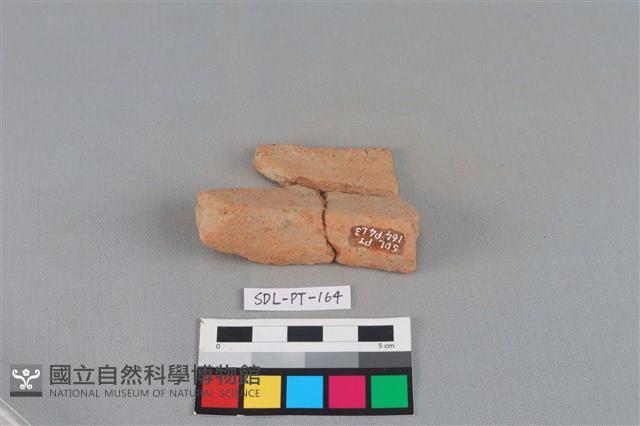 陶罐藏品圖，第3張