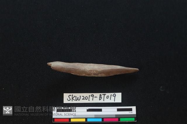 魚卡子藏品圖，第3張