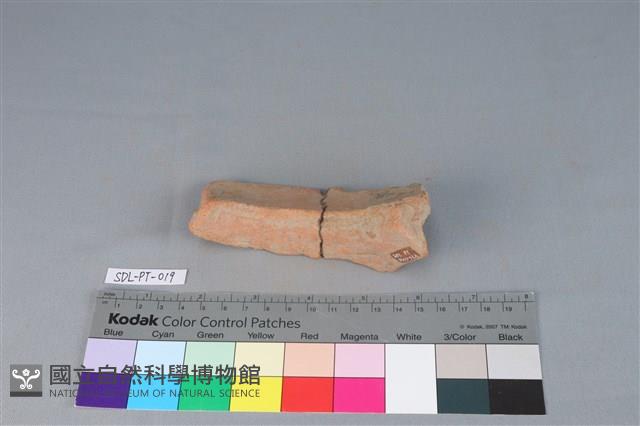 陶罐藏品圖，第3張