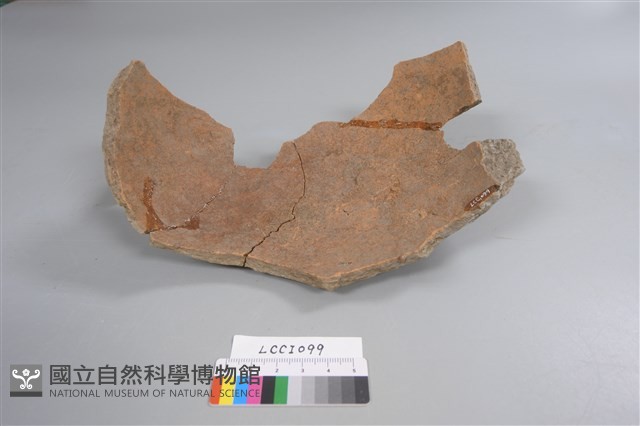 陶片藏品圖，第3張