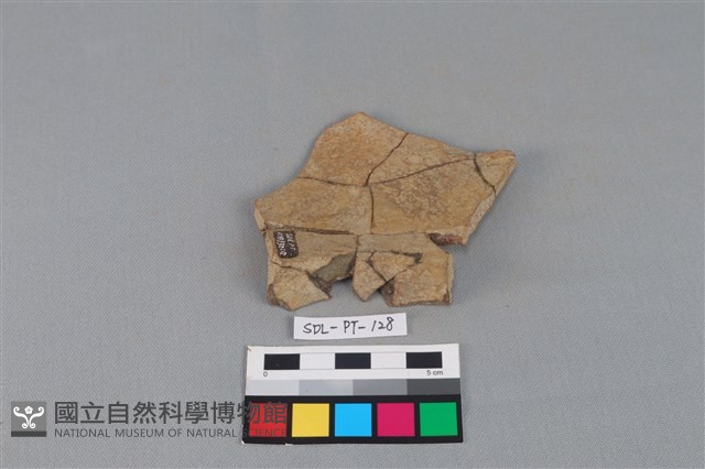 連杯形器藏品圖，第3張