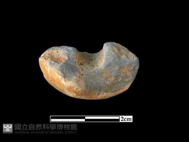 陶紡輪藏品圖，第3張