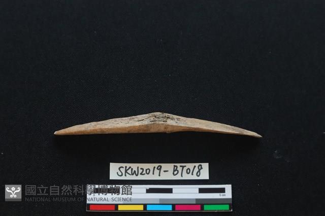 魚卡子藏品圖，第3張