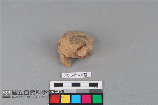 陶蓋藏品圖，第3張