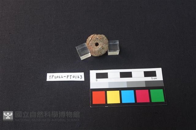陶紡輪藏品圖，第3張
