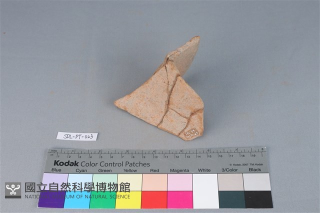 陶罐藏品圖，第3張