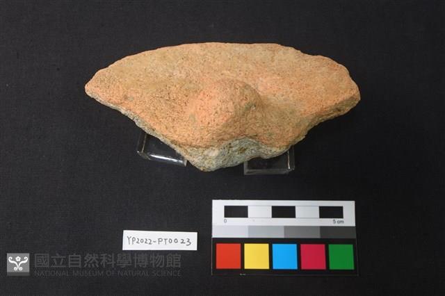 碗/淺盤型陶蓋藏品圖，第3張