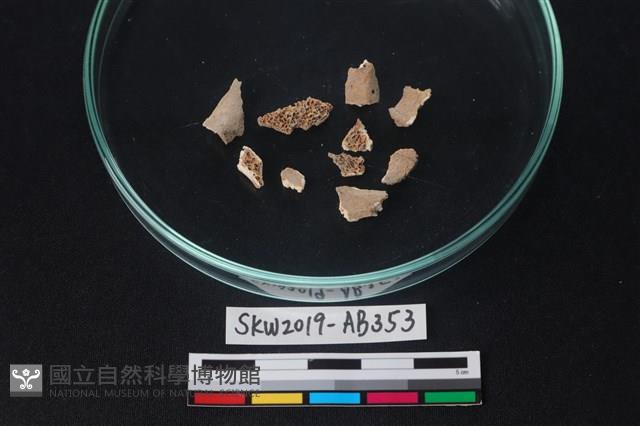 獸骨藏品圖，第3張