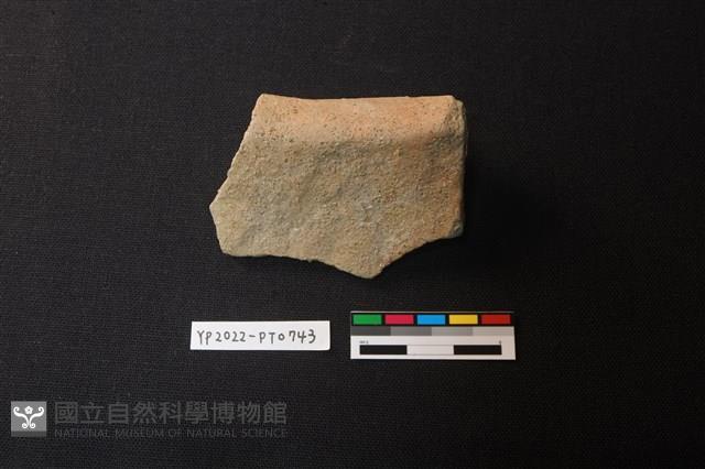 陶片藏品圖，第3張