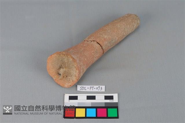 勺把藏品圖，第3張