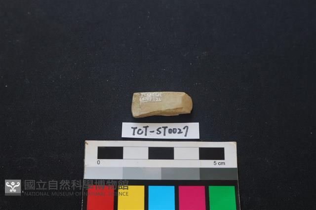 錛鑿形器藏品圖，第3張
