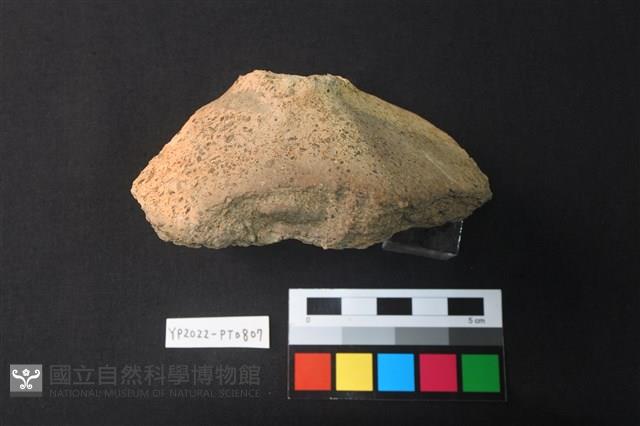 陶蓋藏品圖，第3張
