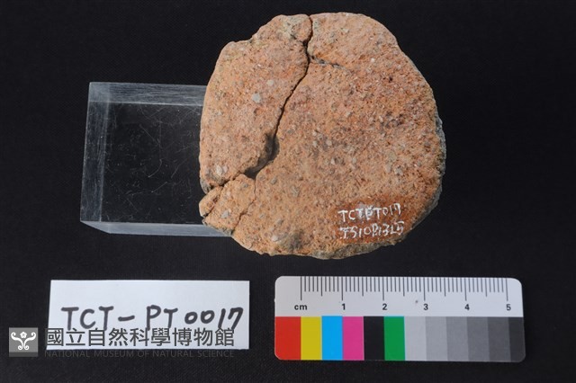 陶蓋鈕藏品圖，第3張
