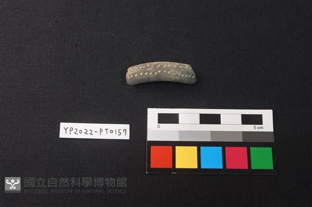 陶環藏品圖，第3張