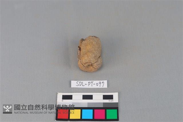 陶把藏品圖，第3張