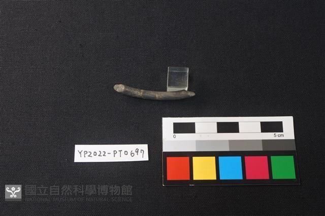 陶環藏品圖，第3張