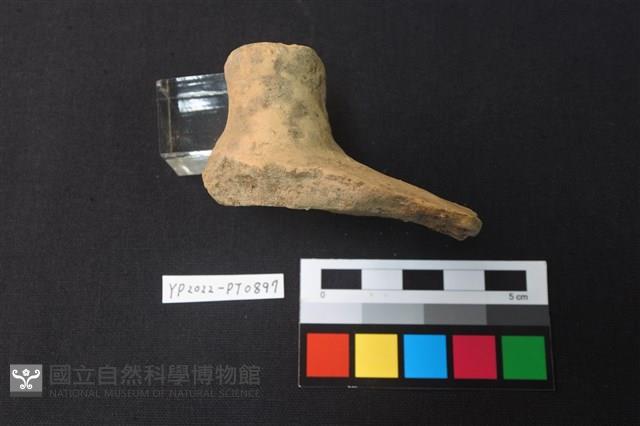陶蓋鈕藏品圖，第3張