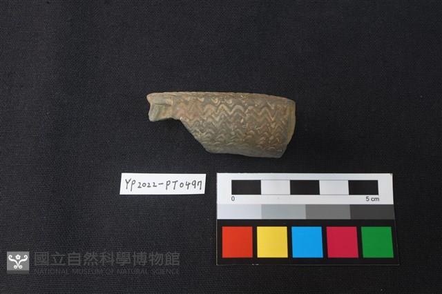 陶片藏品圖，第3張