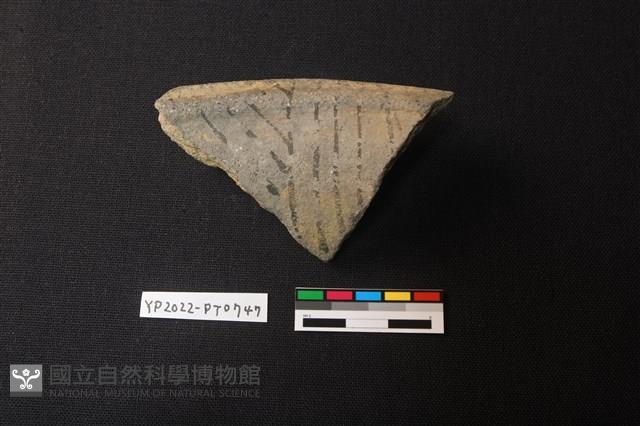 陶片藏品圖，第3張