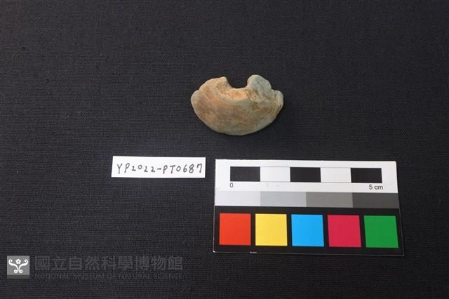 陶紡輪藏品圖，第3張