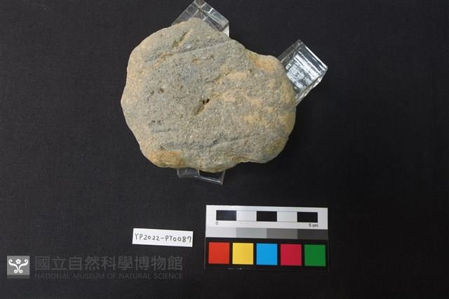 碗/淺盤型陶蓋藏品圖，第3張