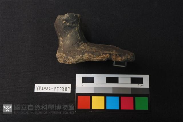 陶蓋鈕藏品圖，第3張
