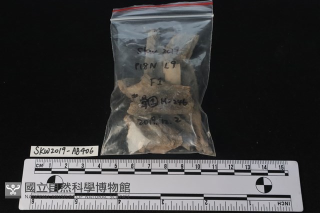 獸骨藏品圖，第3張