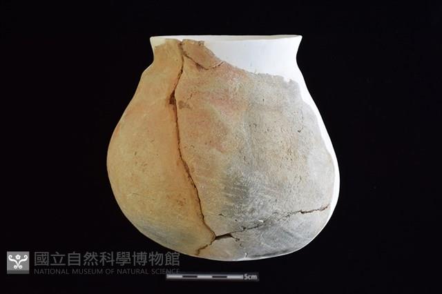 陶罐藏品圖，第3張