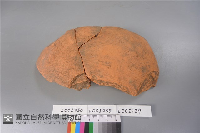 陶片藏品圖，第3張