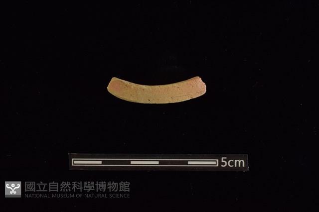 陶環藏品圖，第3張