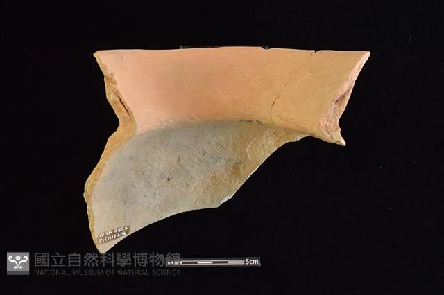 陶罐藏品圖，第3張