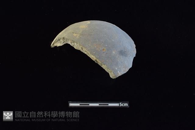 陶片藏品圖，第3張