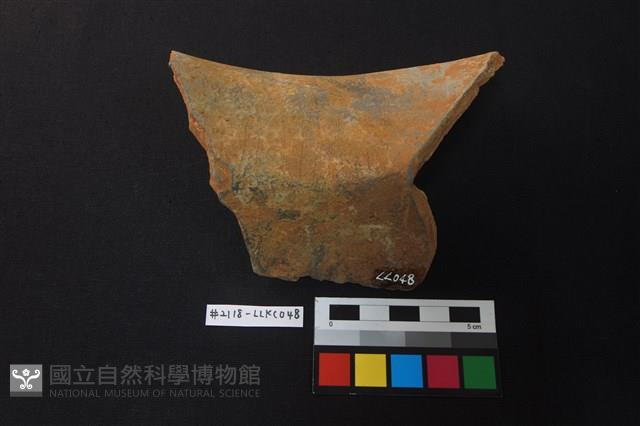 陶片藏品圖，第3張