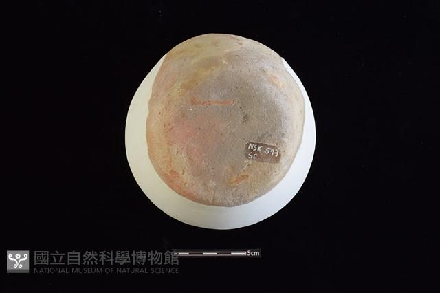 陶蓋藏品圖，第3張