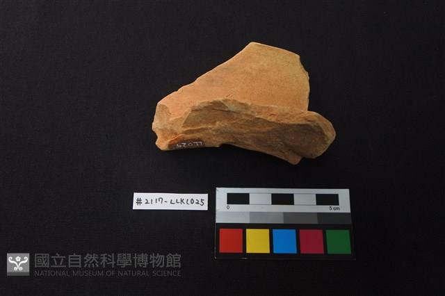 陶片藏品圖，第3張