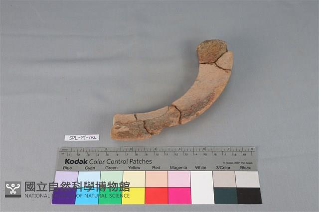陶罐藏品圖，第6張