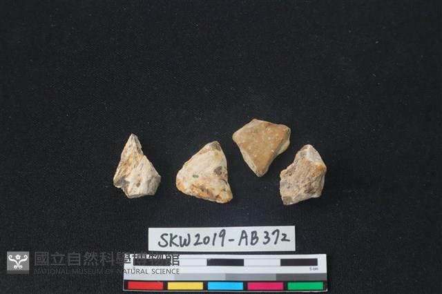 獸骨藏品圖，第4張