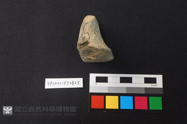 陶鈕藏品圖，第4張
