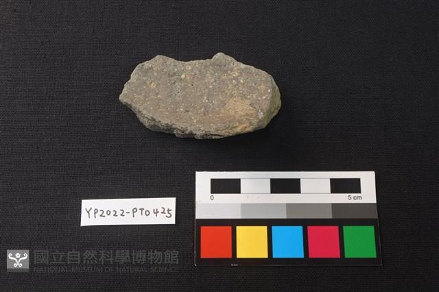 陶片藏品圖，第4張