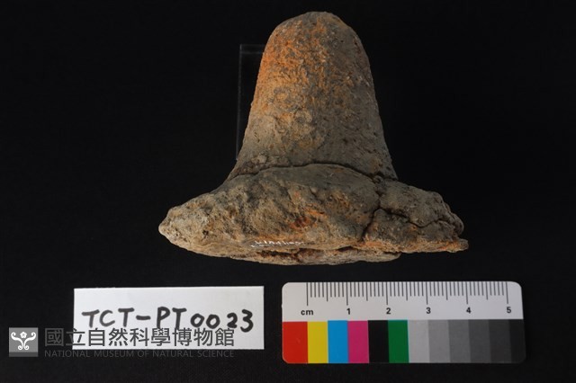 陶蓋鈕藏品圖，第4張