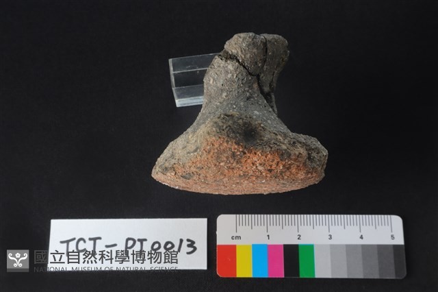 陶蓋鈕藏品圖，第4張