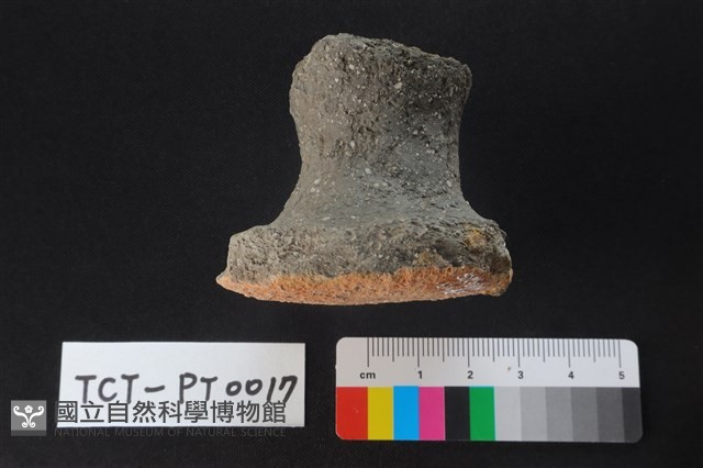 陶蓋鈕藏品圖，第4張